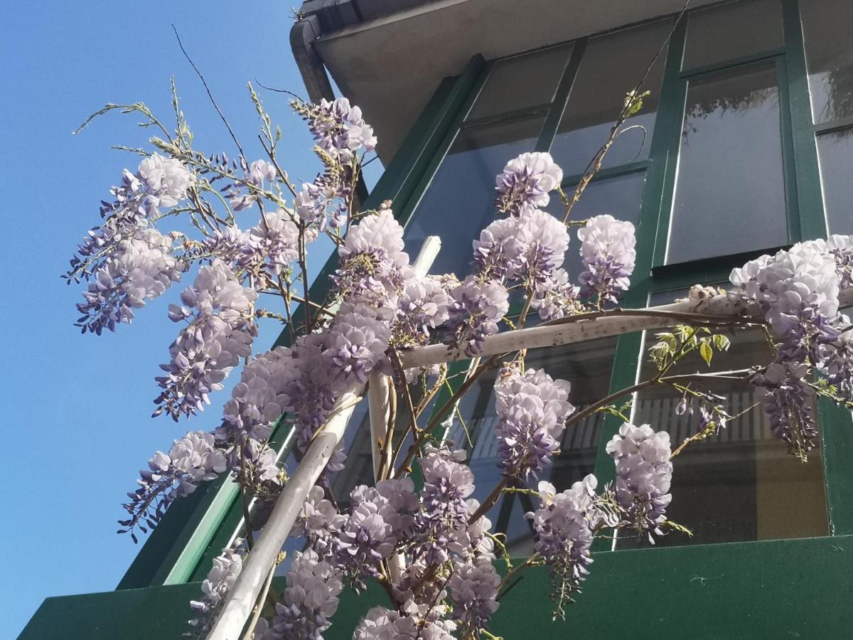 Casadei24 Apartment Guidonia Montecelio ภายนอก รูปภาพ