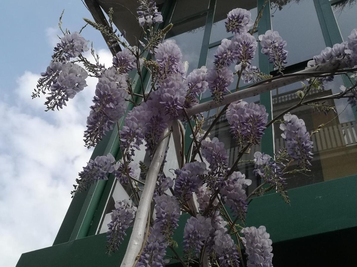 Casadei24 Apartment Guidonia Montecelio ภายนอก รูปภาพ